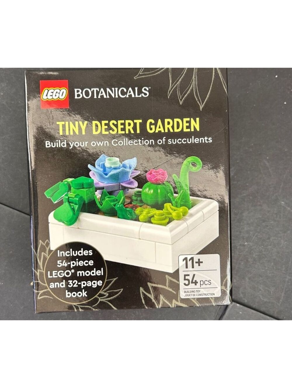LEGO Botanicals Tiny Desert Garden set 5010077
